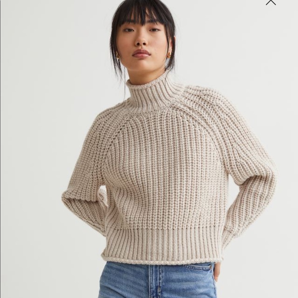 H&M Knit Sweater